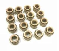 Колпачки маслосъемные ГАЗель Некст (NEXT) дв. УМЗ А274 EvoTech, 4216